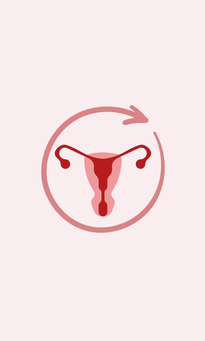 Cycle menstruel irrégulier : causes, signes et solutions naturelles