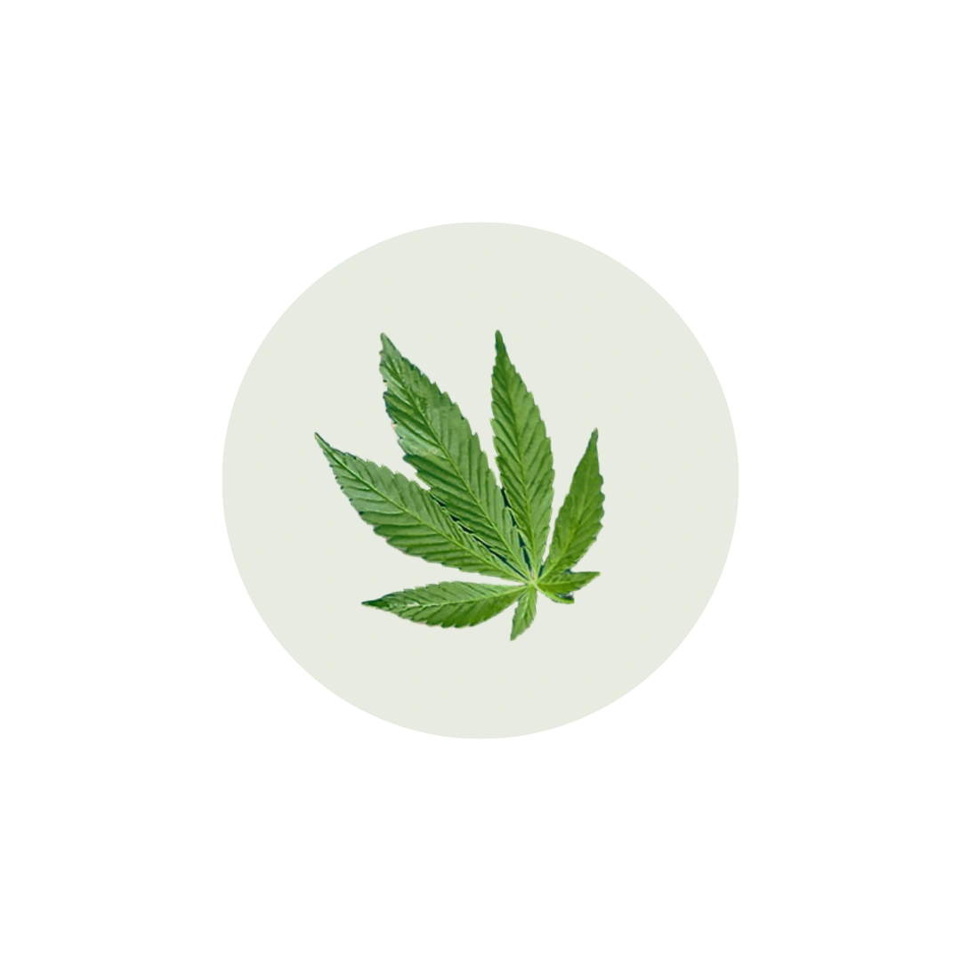 Parche de CBD Dane para el alivio natural del dolor menstrual