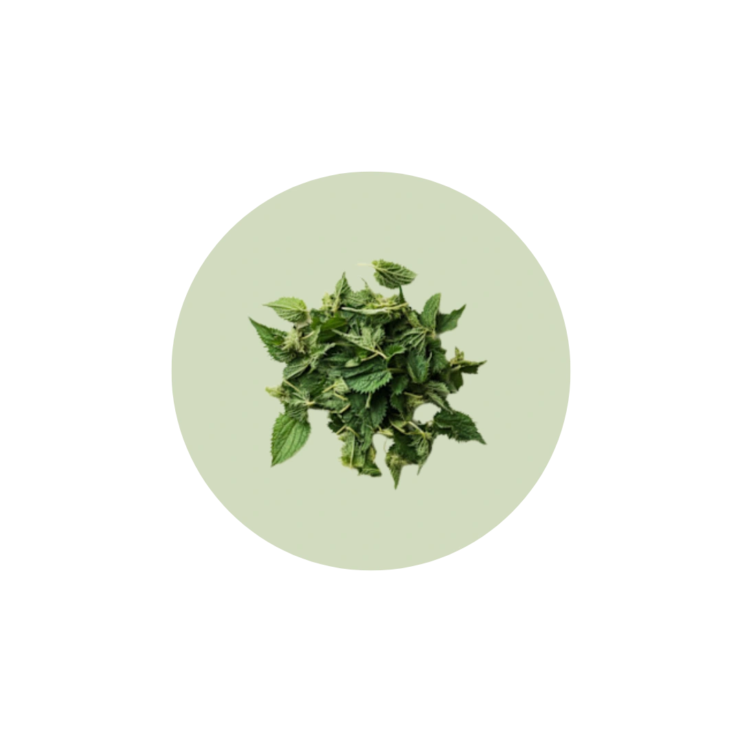 Parche de CBD Dane para el alivio natural del dolor menstrual