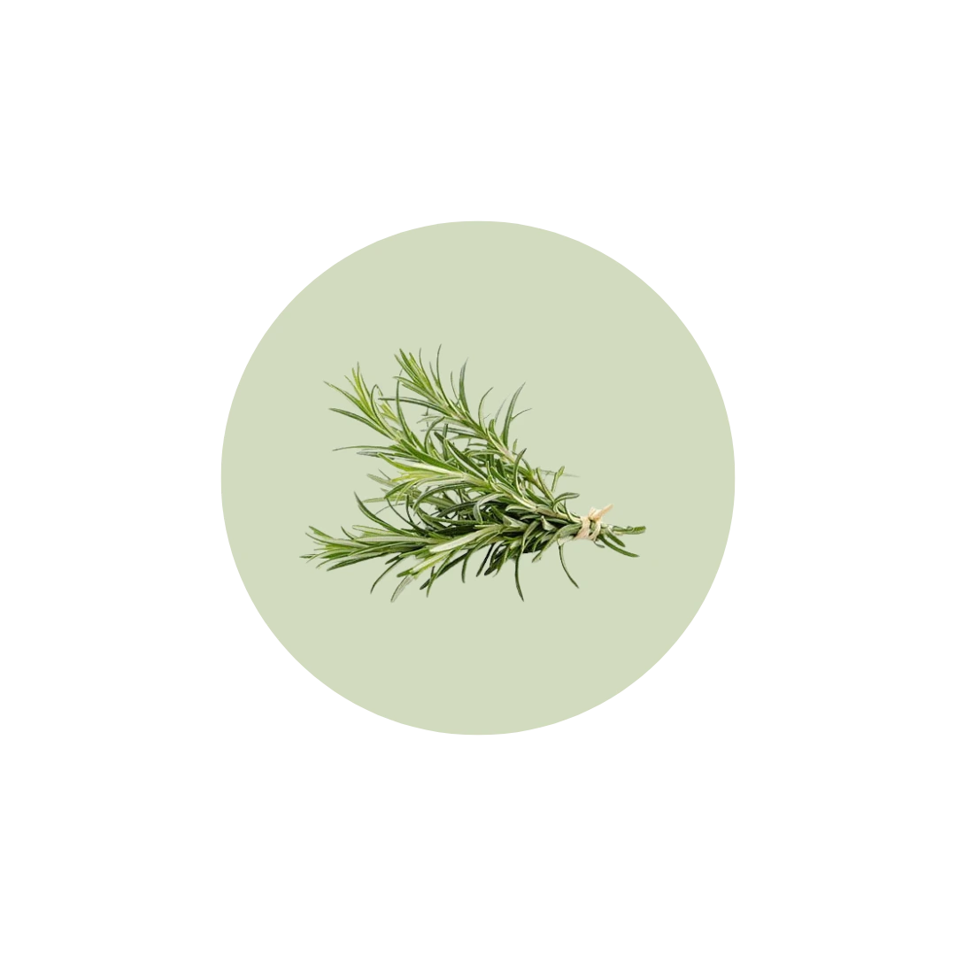 Ingredient Nané infusion - Nané Care